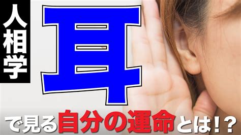 耳形相学|【人相学】耳の形で分かる生まれ持った運勢と気質